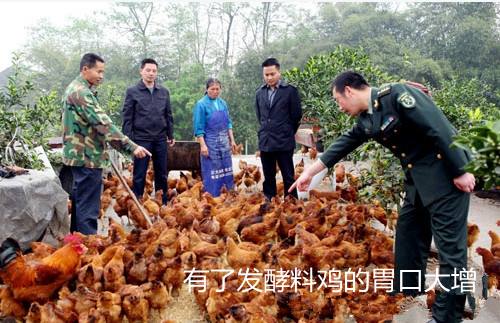 酱油渣处理后可以做为饲料